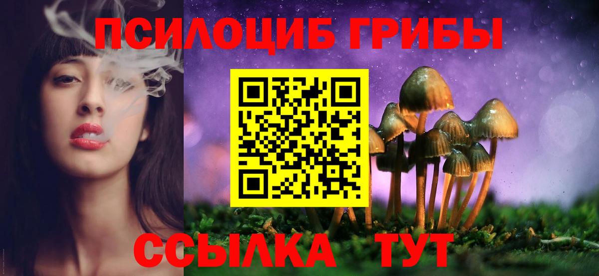 Псилоцибиновые грибы GOLDEN TEACHER Бутурлиновка